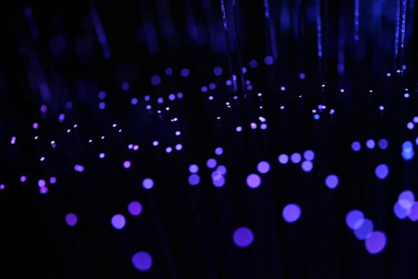Zifiri karanlıkta parlayan parlak morumsu ve mor fiber optik iplikçiklerin canlı, soyut bir yakın çekimi..