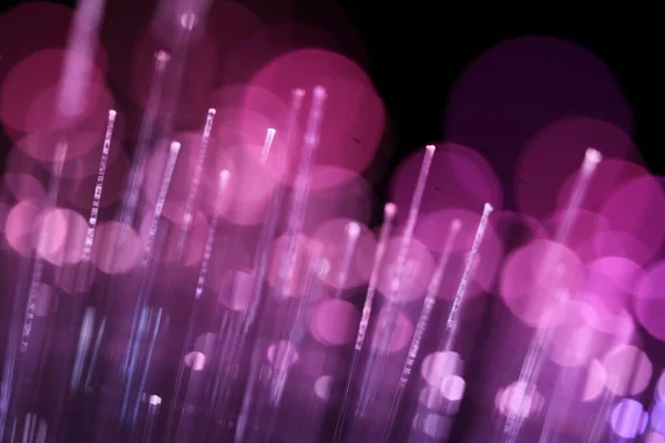 Zifiri karanlıkta parlayan parlak morumsu ve mor fiber optik iplikçiklerin canlı, soyut bir yakın çekimi..