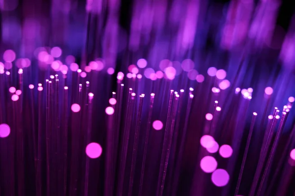 Zifiri karanlıkta parlayan parlak morumsu ve mor fiber optik iplikçiklerin canlı, soyut bir yakın çekimi..