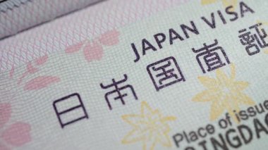 A sharp close-up on the 