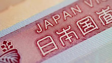 A sharp close-up on the 