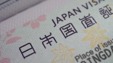 A sharp close-up on the 