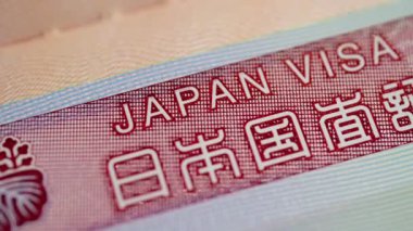 Açık pasaport içindeki vizenin 