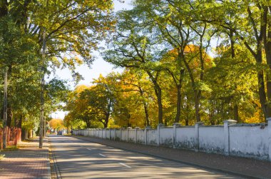 Sonbahar yolu sarı yapraklı uzun ağaçlar ve eski beyaz bir duvarla kaplı. Varşova yakınlarında güneşli bir gün, Polonya. Huzurlu ve kırsal atmosfer