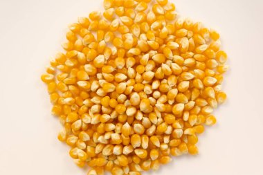 Kurumuş sarı mısır taneleri daire şeklinde dizilmiş, beyaz arkaplan ile kapatılıyor.