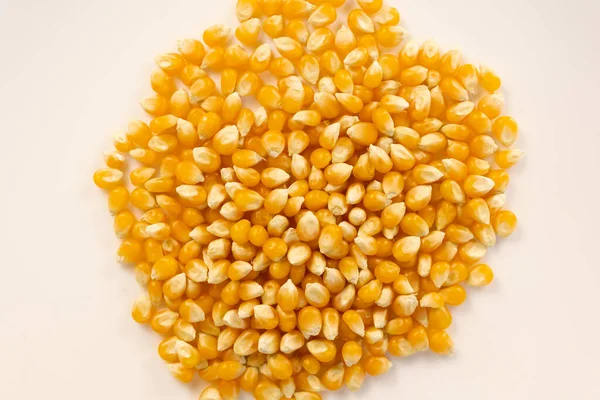 Kurumuş sarı mısır taneleri daire şeklinde dizilmiş, beyaz arkaplan ile kapatılıyor.