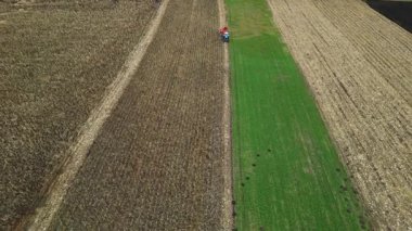 Hasat edilen ve yeşil alan şeritleri arasında küçük bir traktör gibi tarım arazisi boyunca ilerleyen pürüzsüz 4K insansız hava aracı. Açık tarım modelleri ve parlak gün ışığında geç sezon renkleri. 