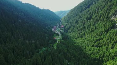 Hava aracı görüntüleri, yemyeşil ormanlarla kaplı yemyeşil bir dağ vadisine giden dolambaçlı bir yol gösteriyor. Uzak doğanın, doğanın ve maceranın barışçıl sinematik manzarası. Seyahat, çevre veya belgesel projeleri için ideal.