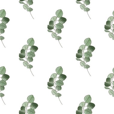 Okaliptüs yapraklı asgari botanik desen