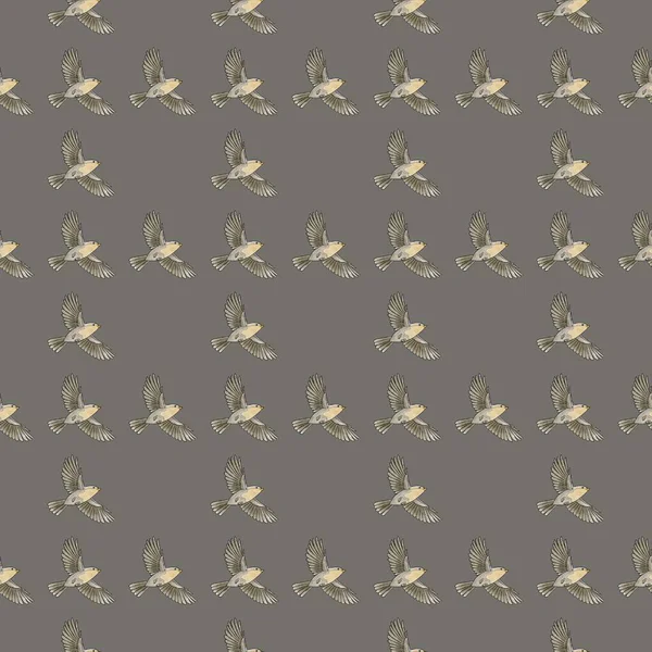   Gri arka planda kuşlarla kusursuz desen