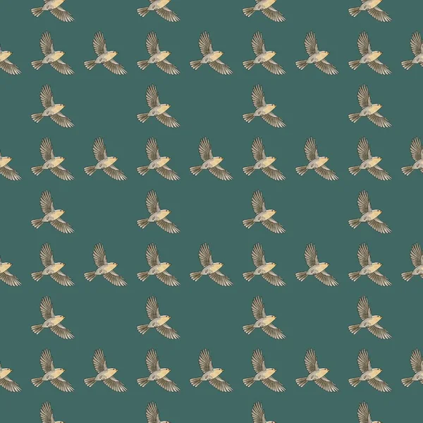   Kuşların mavi arka planında kusursuz desen