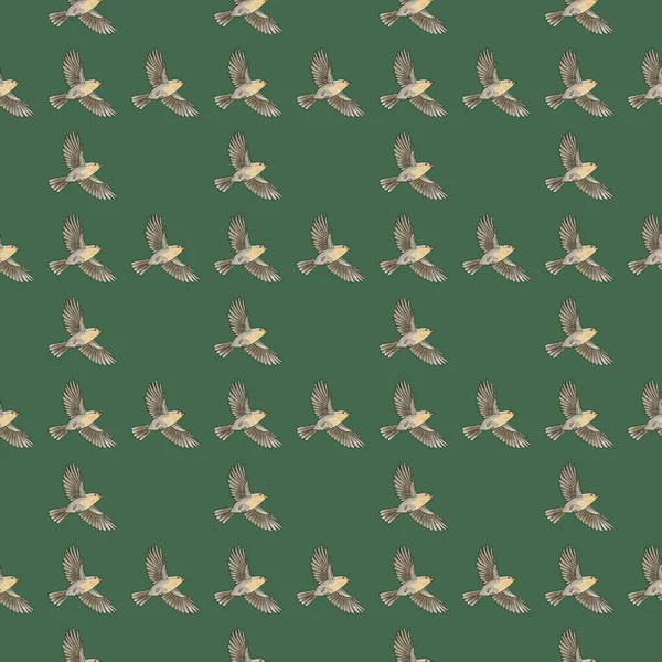   Kuşlarla yeşil arka planda kusursuz desen