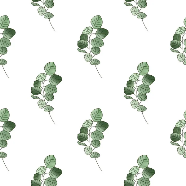 Okaliptüs yapraklı asgari botanik desen