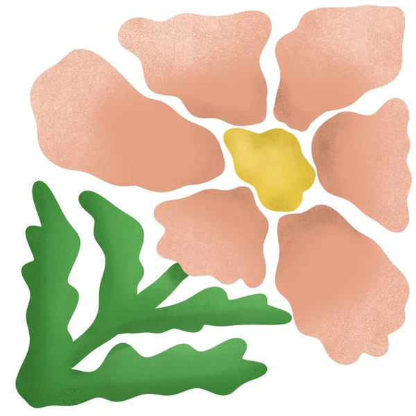 Yumuşak dokular ve organik şekiller çıkartmalar, baskılar, giysi ve ev dekorasyonu için mükemmel bir modern, minimalist botanik tasarım yaratıyor.