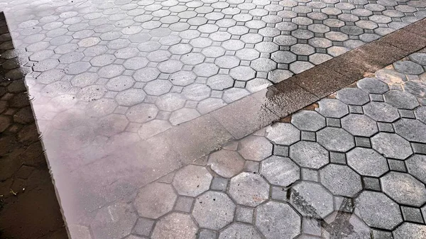 Islak Altıgen Kaldırım Yansımalarla Yürüme, Yağmurdan sonra Yürüme