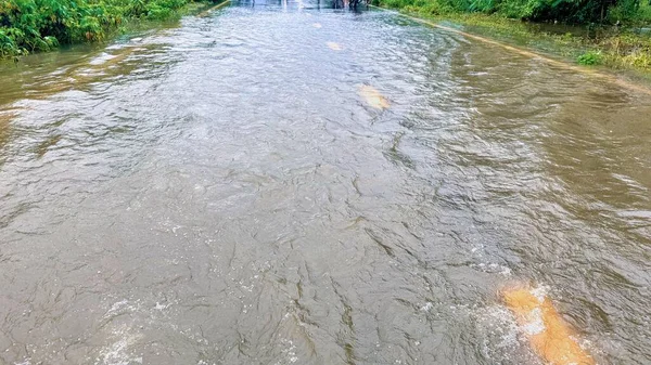 Şiddetli Sel Altında Sokak Derin Kahverengi Suyun Altında, Su Yol 'a akıyor