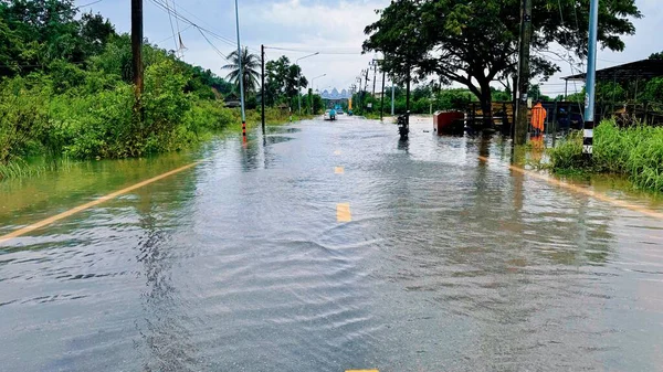 Yolda sel baskınları, Şiddetli yağmurla taşan aşırı büyümüş sular.