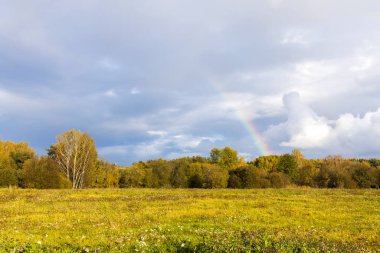Güzel gökkuşağı yağmur üstüne orman ve çayır üstüne yağmur..