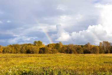 Güzel gökkuşağı yağmur üstüne orman ve çayır üstüne yağmur..