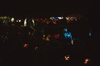 Ürkütücü bir Cadılar Bayramı fotoğrafı. İskelet dekorasyonu. Ürkütücü ışıklandırma ve karanlık bir arka plan. Korku, Cadılar Bayramı ve korkunç tatil temaları için mükemmel..