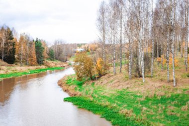 Altın ve kırmızı yapraklı güzel sonbahar ormanı, ağaçların arasından parlayan güneş ışığı, huzurlu sonbahar manzarası..