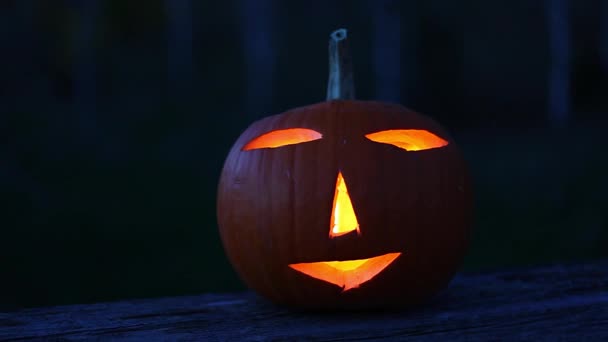 Halloween. Glowing carved Halloween pumpkins jack o lanterns with candles inside flickering in the dark night spooky and festive autumn atmosphere 4K ultra HD footage. Halloween. Glowing carved Halloween pumpkins jack o lanterns with candles inside flickering in the dark night spooky and festive autumn atmosphere 4K ultra HD footage.