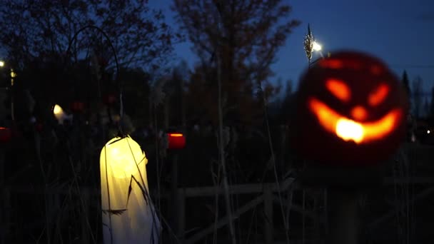 Spooky ghost figure appearing in the dark on Halloween night white spirit floating in fog and moonlight eerie horror atmosphere 4K ultra HD footage. Spooky ghost figure appearing in the dark on Halloween night white spirit floating in fog and moonlight eerie horror atmosphere 4K ultra HD footage.