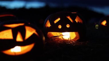 Cadılar Bayramı. Işıl ışıl Cadılar Bayramı balkabakları (kriko-fenerler) gecenin karanlığında içinde titreyen mumlar, ürkütücü ve şenlikli sonbahar atmosferi, 4K ultra HD görüntü.