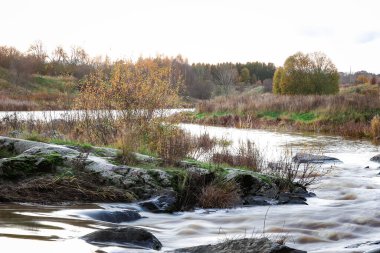 Beton basamakların üzerinden su akan bir nehirdeki yapay balık merdiveni vahşi somonların ekolojik restorasyonun sembolü olan baraj boyunca akıntıya karşı ilerlemesine yardımcı olmak için tasarlanmış.
