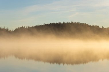 Sakin sonbahar denizi üzerinde altın bir gün doğumu. Kıyıda orman ve suyun üstünde yumuşak bir sis. Huzurlu doğal deniz manzarası ve sabah atmosferi..