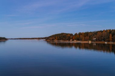 Sakin sonbahar denizi üzerinde altın bir gün doğumu. Kıyıda orman ve suyun üstünde yumuşak bir sis. Huzurlu doğal deniz manzarası ve sabah atmosferi..