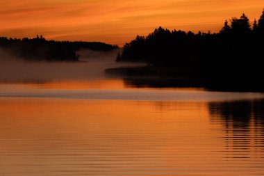 Sakin sonbahar denizi üzerinde altın bir gün doğumu. Kıyıda orman ve suyun üstünde yumuşak bir sis. Huzurlu doğal deniz manzarası ve sabah atmosferi..