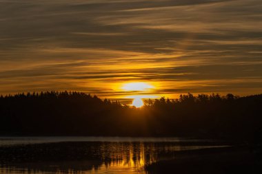 Sakin sonbahar denizi üzerinde altın bir gün doğumu. Kıyıda orman ve suyun üstünde yumuşak bir sis. Huzurlu doğal deniz manzarası ve sabah atmosferi..