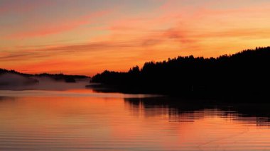 Güzel sonbahar gündoğumu deniz üzerinde altın güneş ışığı, yumuşak sis su ve orman kıyı şeridi üzerinde sürükleniyor, 4K ultra HD huzurlu doğa manzarası