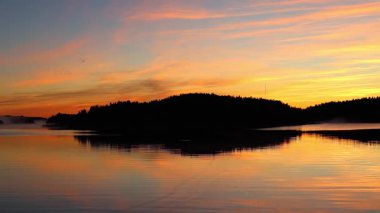 Güzel sonbahar gündoğumu deniz üzerinde altın güneş ışığı, yumuşak sis su ve orman kıyı şeridi üzerinde sürükleniyor, 4K ultra HD huzurlu doğa manzarası