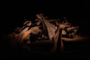 Ortaçağ kalesinin iç kısımlarına tahta sandıklar, metal kilitler, heykeller, eski kitaplar ve mum tutacakları da dahil olmak üzere çeşitli antika nesneler yerleştirildi. Sıcak ışık dokuları, tarihi işçiliği ve ortaçağ atmosferini vurgular. Miras için mükemmel, merhaba.