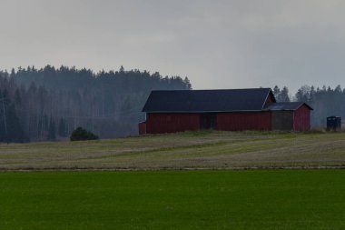 Ormanın yakınındaki ev ağaçlar ve doğal manzarayla çevrili. Yumuşak doğal ışık ve barışçıl atmosfer. Doğa fotoğrafçılığı, seyahat temaları, kırsal yaşam tarzı ve çevre dostu yaşam kavramları için ideal.