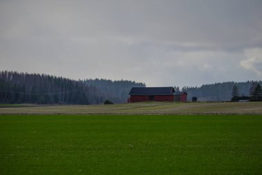 Ormanın yakınındaki ev ağaçlar ve doğal manzarayla çevrili. Yumuşak doğal ışık ve barışçıl atmosfer. Doğa fotoğrafçılığı, seyahat temaları, kırsal yaşam tarzı ve çevre dostu yaşam kavramları için ideal.