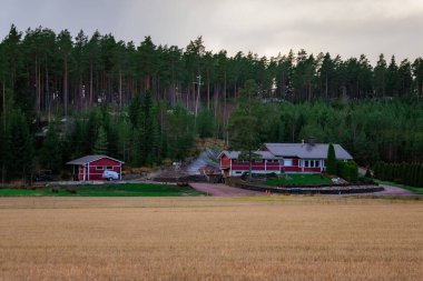 Ormanın yakınındaki ev ağaçlar ve doğal manzarayla çevrili. Yumuşak doğal ışık ve barışçıl atmosfer. Doğa fotoğrafçılığı, seyahat temaları, kırsal yaşam tarzı ve çevre dostu yaşam kavramları için ideal.