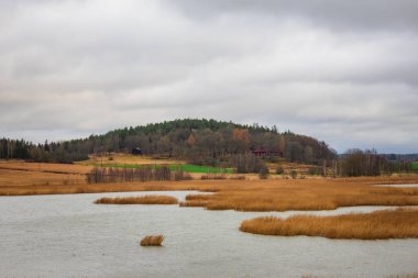Diğer tarafında ormanlık bir kıyı şeridi olan sakin bir göl, nehir ya da denizin manzara fotoğrafı. Doğal renkler, yumuşak ışıklandırma ve barışçıl atmosfer onu doğa fotoğrafçılığı, seyahat ve çevre temaları için ideal hale getirir..
