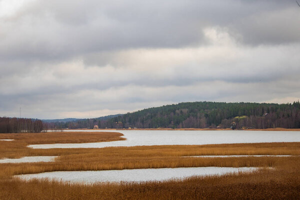 Landscape photo of a calm lake, river or sea with a forested shoreline on the opposite side. Natural colors, soft lighting, and peaceful atmosphere make it ideal for nature photography, travel, and environmental themes.