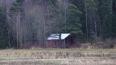 Ormanın yakınında küçük bir ev, ağaçlar, doğa ve huzurlu manzarayla çevrili. Doğal ışık ve sakin atmosferli 4K ultra HD ile çekildi. Doğa videoları, kırsal yaşam tarzı, seyahat içeriği, ekoloji ve manzaralar için mükemmel.