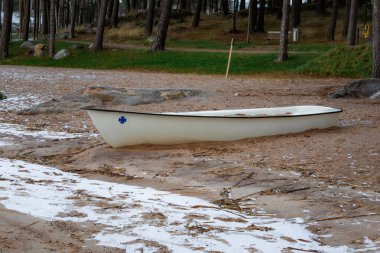 Ormanın denizle buluştuğu doğal kıyı manzarasının fotoğrafı. Görüntüde kıyı şeridi boyunca uzanan ağaçlar, mavi su ve huzurlu, el değmemiş bir manzara yer alıyor. Doğa fotoğrafçılığı, seyahat temaları, çevre projeleri ve doğa manzarası için idealdir.