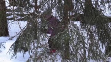 Bir kış ormanında Noel ağacının altında sürünen ve mutlu bir şekilde el sallayan bir çocuğun 4K videosu. Karlı çevre ve doğal ışık çocukluk masumiyeti ve mevsimsel cazibeyle dolu neşeli bir kış sahnesi yaratır.