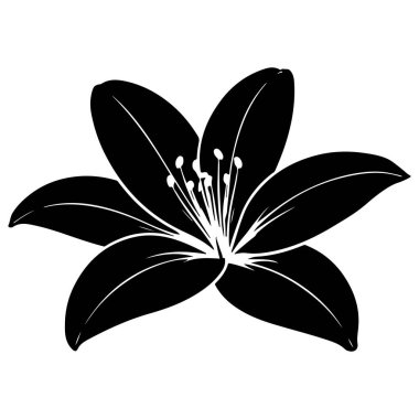 Çiçekli bir zambak çiçeğinin çarpıcı siyah silueti. Altı taç yaprağı harmoni içinde dışa doğru kıvrılır, belirgin erkek organları ve dengeli bir erkek organı ile çevrelenir. Saf beyaz üzerine odaklanmış ve zarif.