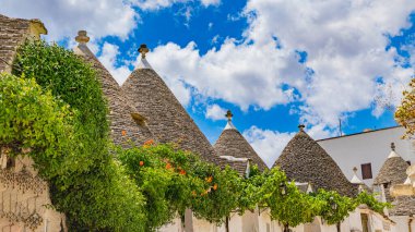 beautiful streets of the historic trulli city of Alberobello in puglia, italy.