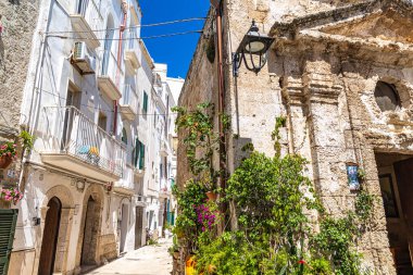 Monopoli in puglia south italy