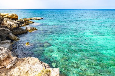 Trani Harbour in south italy puglia