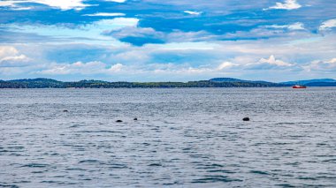 Yeni brunswick Kanada Atlantik Okyanusu San Andrew