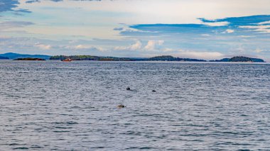 Yeni brunswick Kanada Atlantik Okyanusu San Andrew